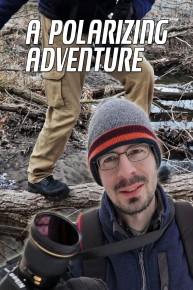 A Polarizing Adventure