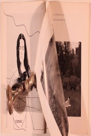 callahan:feder book