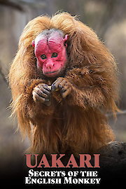 Uakari: Secrets of the English Monkey poster