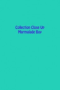 Collection Close Up: Marmalade Boy