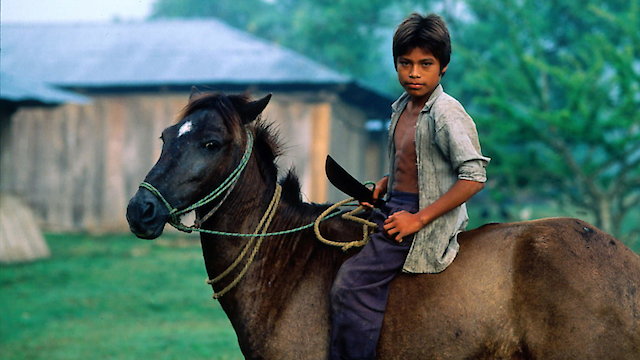 Watch A Place Called Chiapas Online
