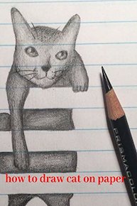 How to draw cat on paper