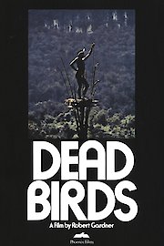 Dead Birds poster