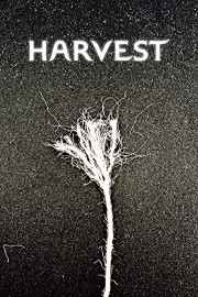 Harvest poster