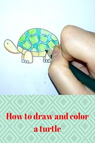 How to draw and color a Turtle