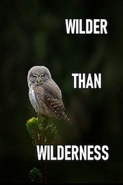 Wilder than Wilderness