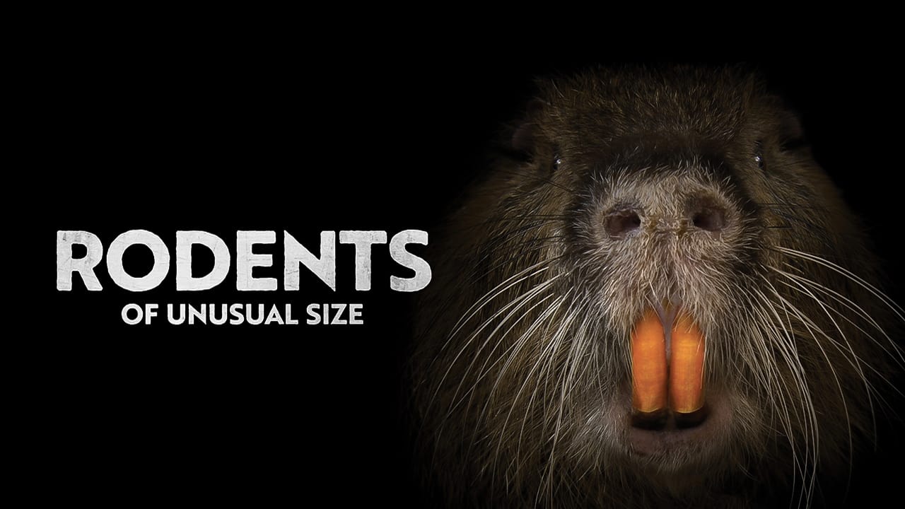 Watch Rodents Of Unusual Size Online