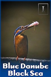 Blue Danube, Black Sea