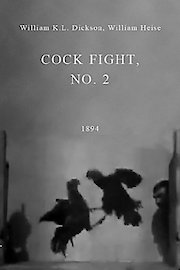 Cockfight no.2 poster