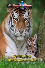 World's Most Dangerous Animals - Planet Nature