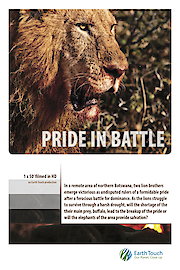 Pride in Battle poster
