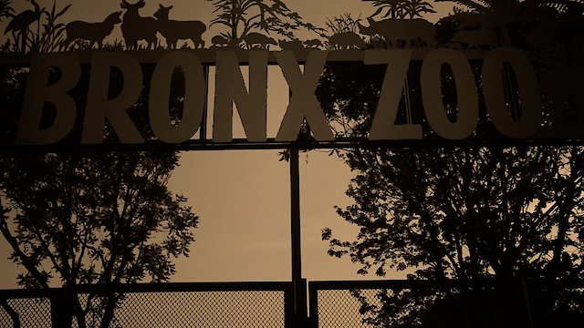 Watch Human Zoos Online