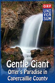 Gentle Giant - Otter's Paradise in Capercaillie County