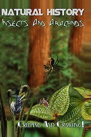 Natural History - Insects And Arachnids Creeping and Crawling! (1951-1969)