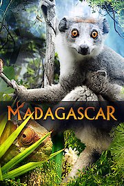 Madagascar poster