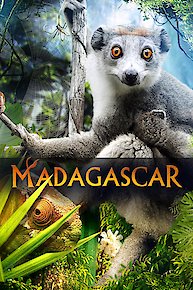 Madagascar (2D)