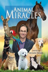 Animal Miracles