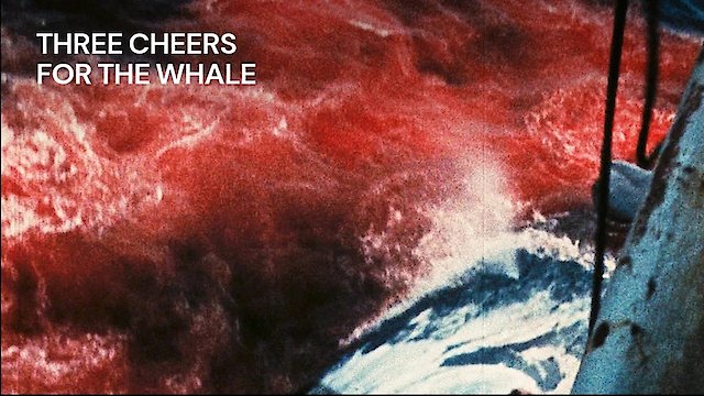 Watch Three Cheers for the Whale Online