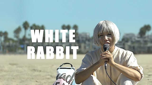 Watch White Rabbit Online