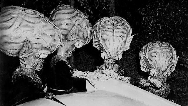 Watch Invasion of the Saucer Men Online