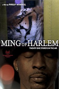Ming of Harlem