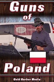 Guns of Poland poster