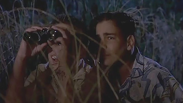 Watch Just Looking Online