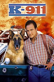 K-911 poster