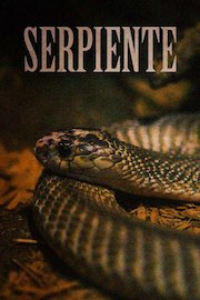 Serpiente poster