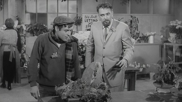 Watch The Little Shop of Horrors Online