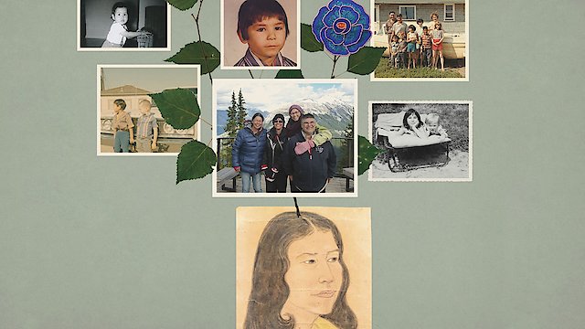 Watch Birth of a Family Online