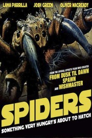Spiders poster