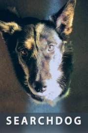 Searchdog