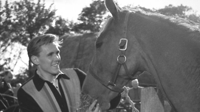 Watch I've Gotta Horse Online