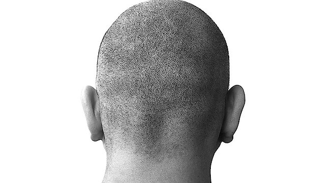 Watch Oi! Warning Online