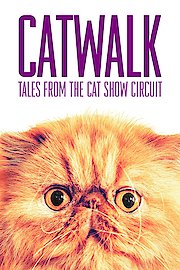 Catwalk: Tales from the Cat Show Circuit poster