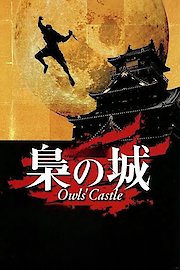 Owls' Castle poster