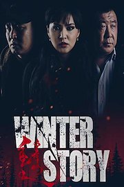 Winter Story poster