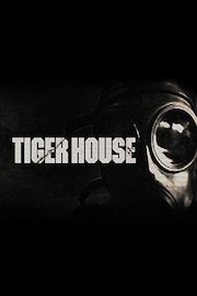 The Tiger House poster