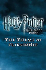 Harry Potter: Theme of Friendship Exclusive Extra poster
