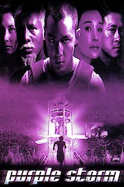 Purple Storm poster
