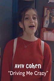Driving Me Crazy poster