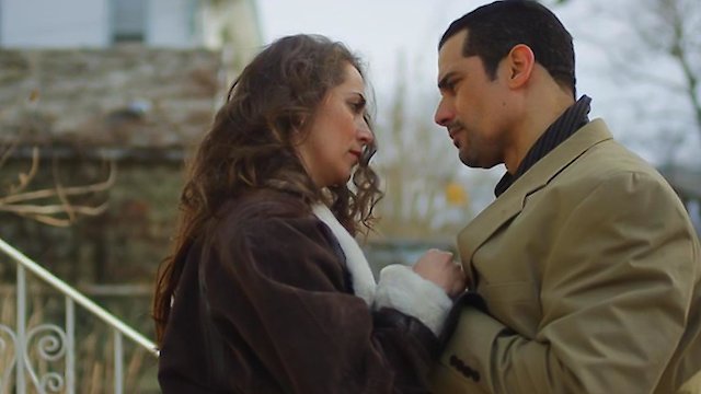 Watch Fists of Love Online
