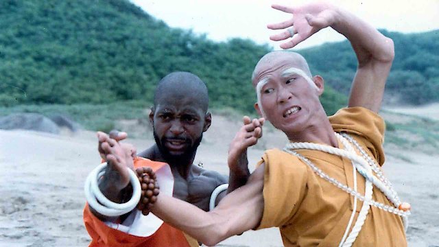 Watch Shaolin Dolemite Online