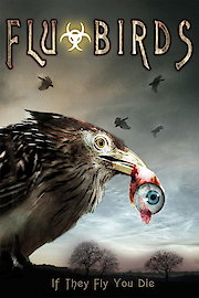 Flu Birds poster