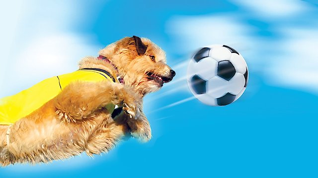 Watch Soccer Dog: European Cup Online