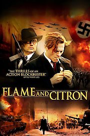 FLAME & CITRON poster