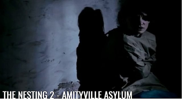 Watch The Amityville Asylum Online