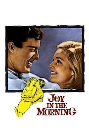 Joy in the Morning poster