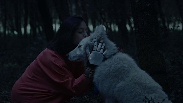 Watch Dark Portal Online